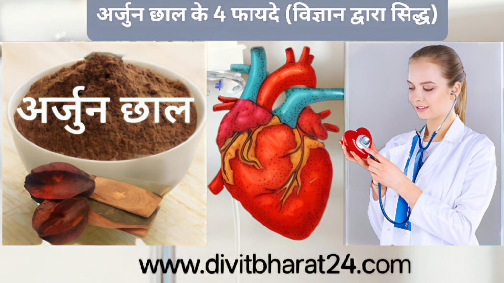 Ayurvedic remedies for high blood pressure